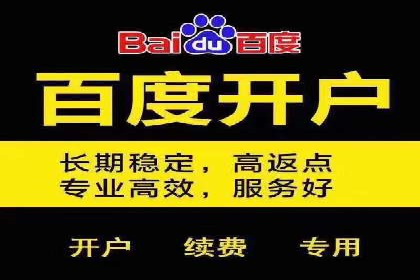 SEM服务公司助力企业流量增长案例